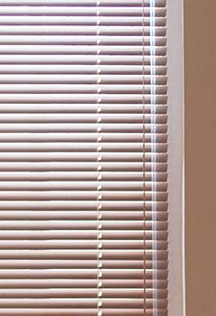 Venetian Blinds In Bonita